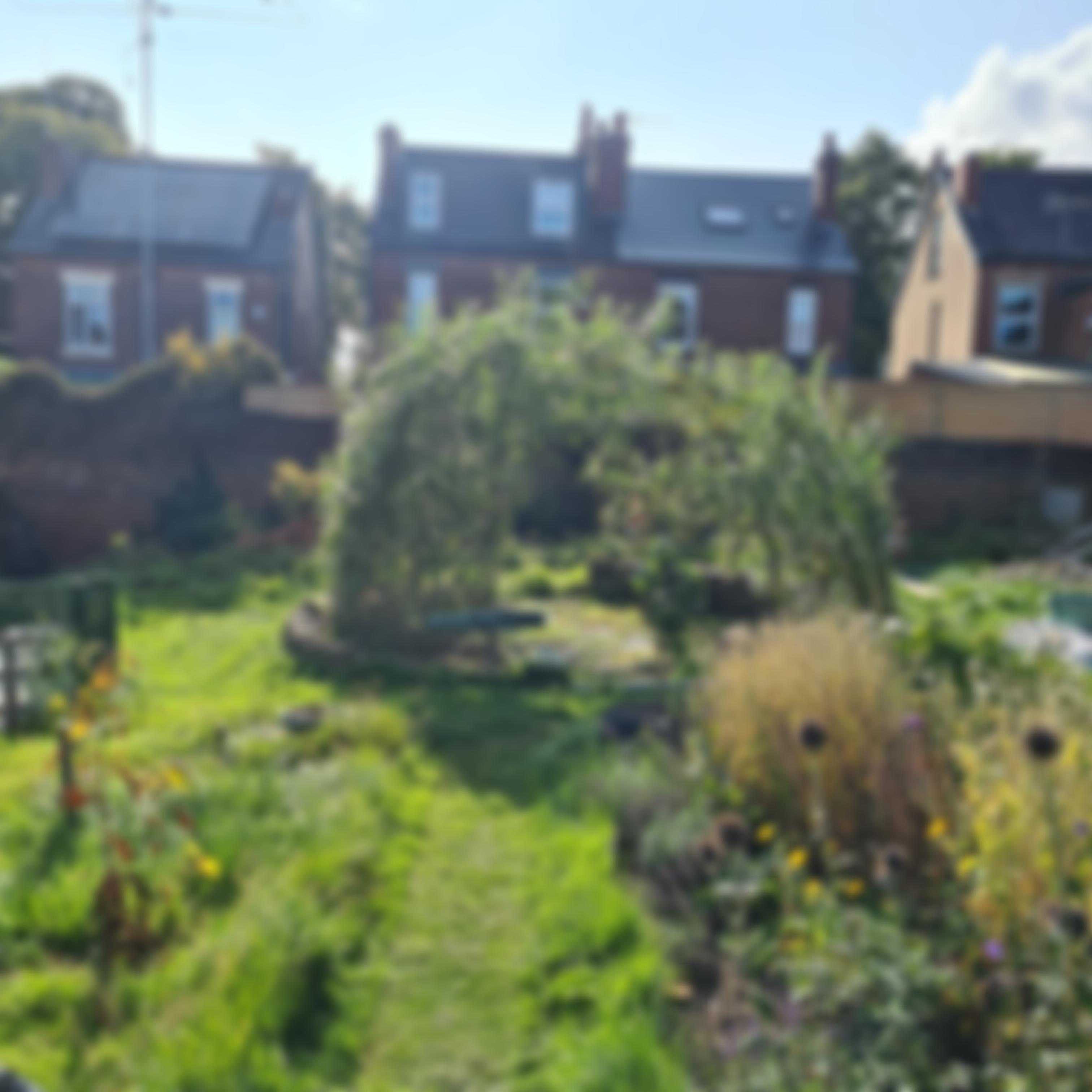 Woodseats Community Garden | Charici