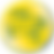 Olsj Parents' Association | Charici