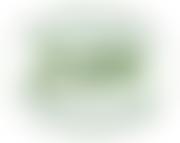 The Somersetshire Coal Canal Society | Charici