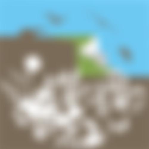 Seaford Action For Nature | Charici