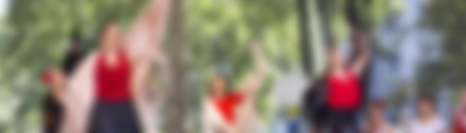 South Westminster Community Festival | Charici