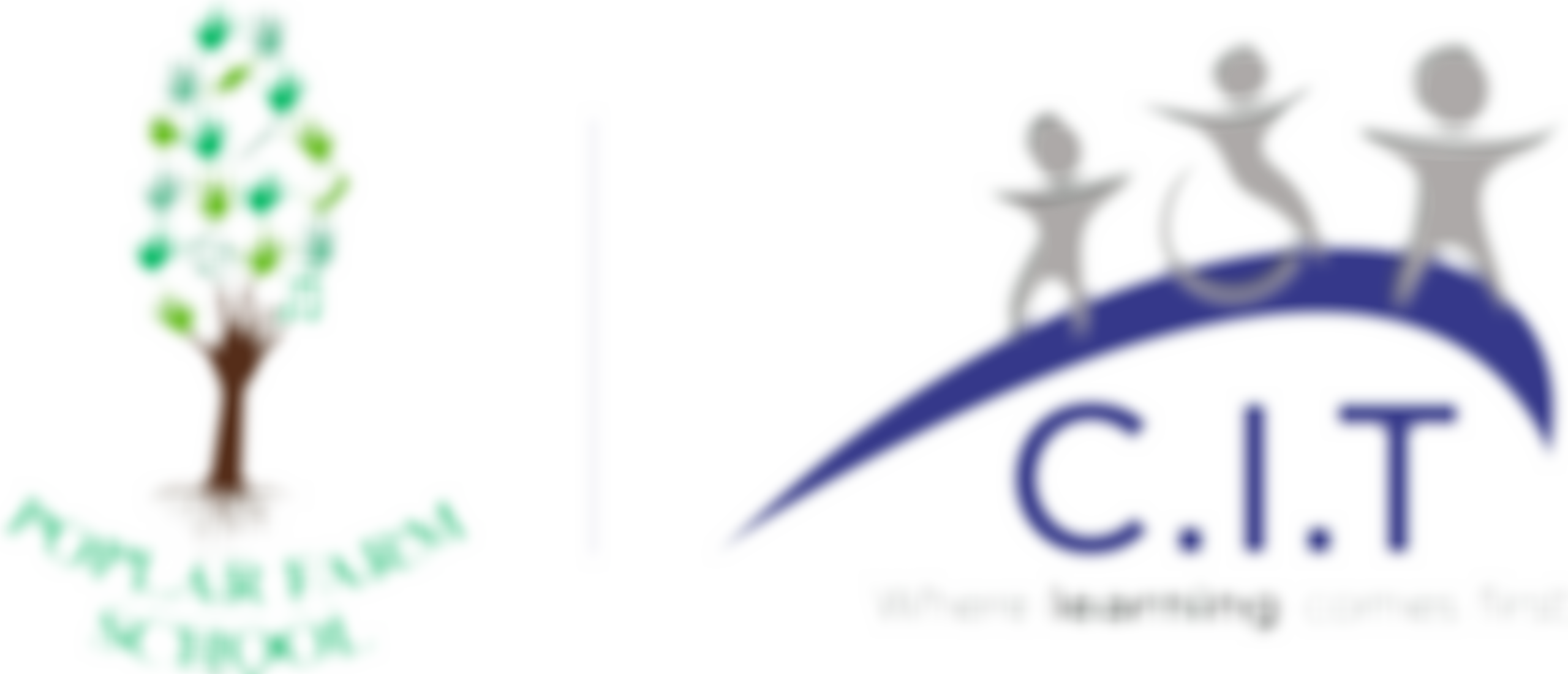 Friends Of Poplar Farm School | Charici