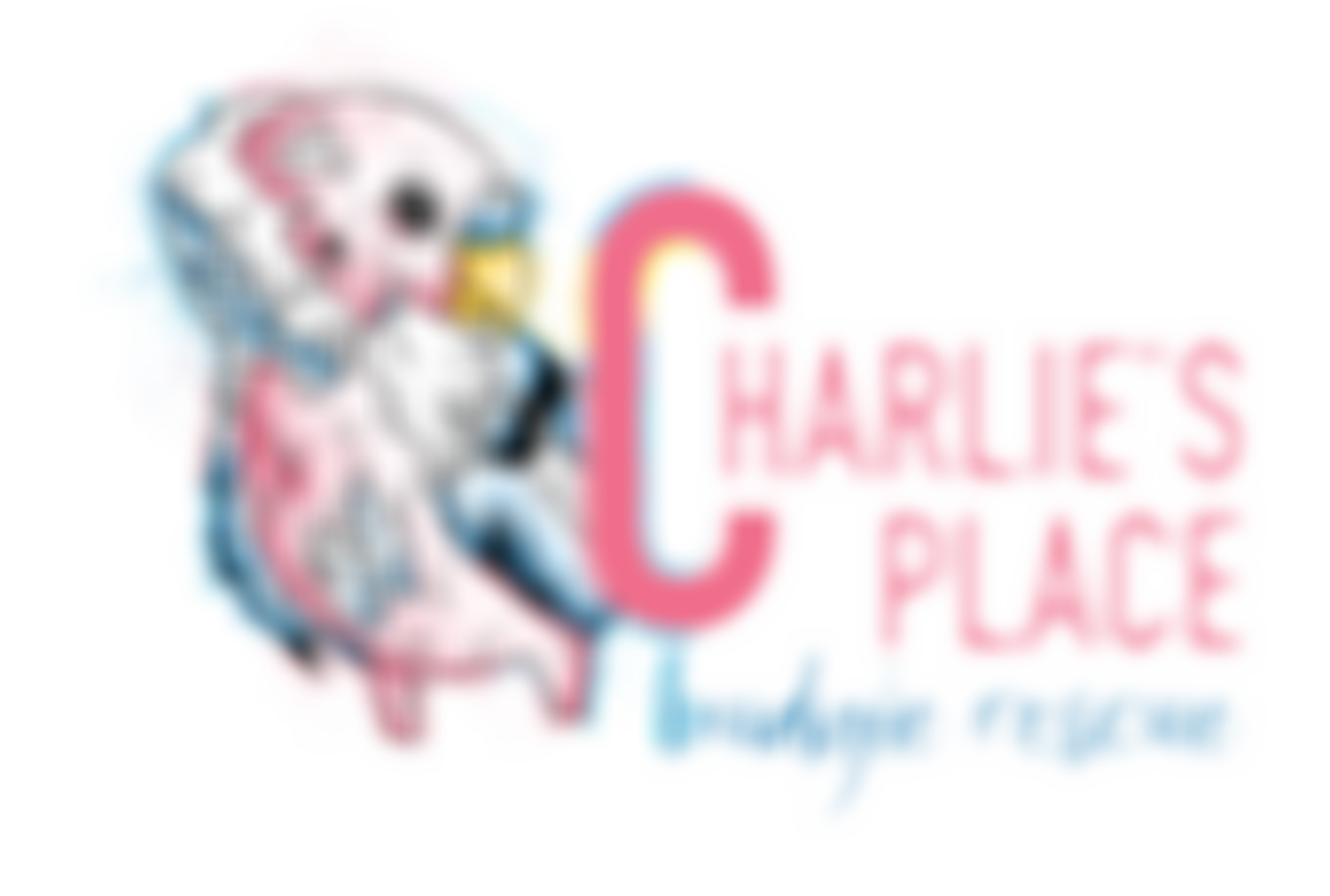 Charlie’s Place UK Budgie Rescue | Charici