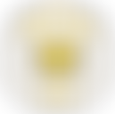 Weston Ark | Charici