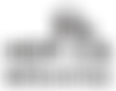 Heroes Old English Sheepdog Rehoming | Charici