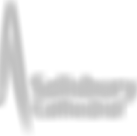 The Salisbury Cathedral Trust | Charici