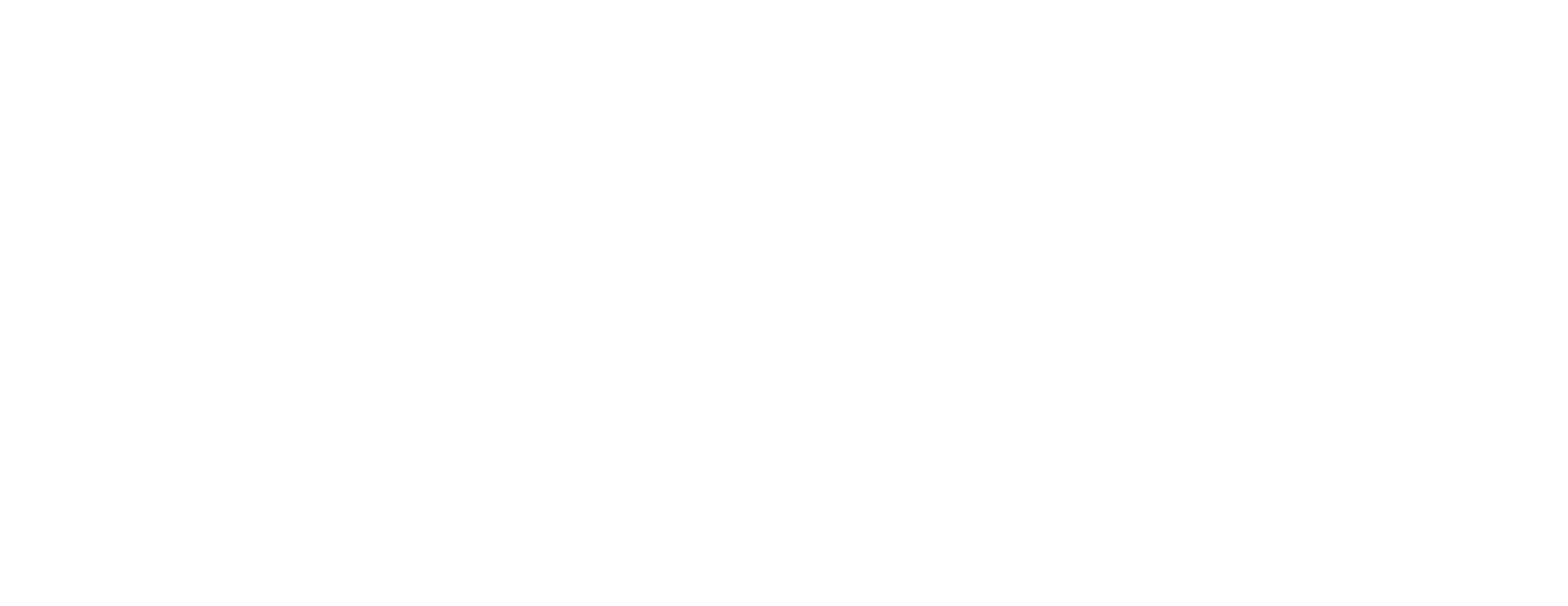 The Visionaries Collective | Charici
