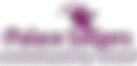 The Palace Singers | Charici