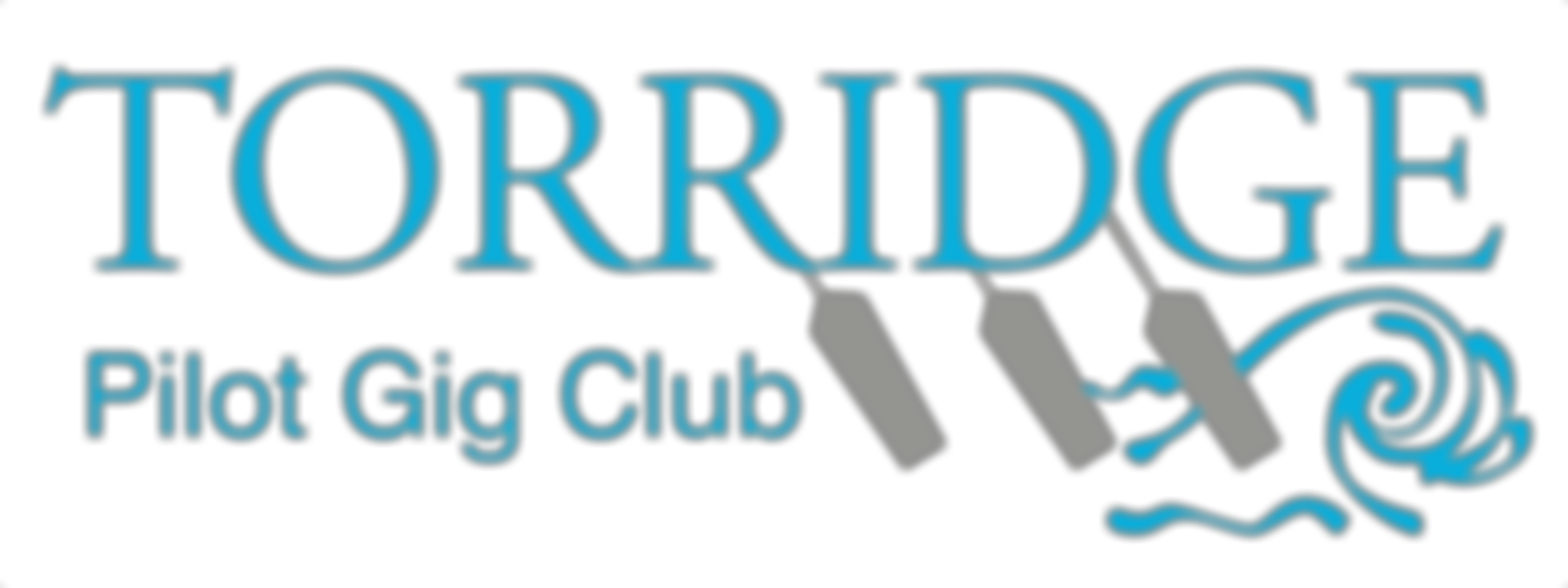 Torridge Pilot Gig Club Cio | Charici