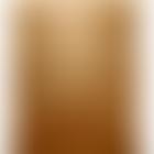 Hounslow Community Transport Limited | Charici