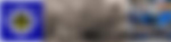 Malton White Star Band | Charici