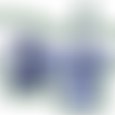 Bristol Classical Guitar Society | Charici