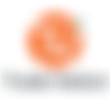 Somerset Cricket Museum Limited | Charici