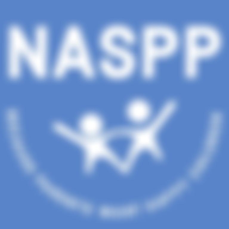 National Association Of Separated Parent Programmes | Charici