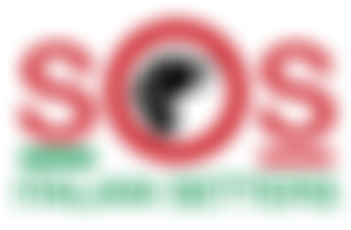 Sos Italian Setters | Charici