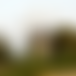 Fulbourn Windmill Cio | Charici