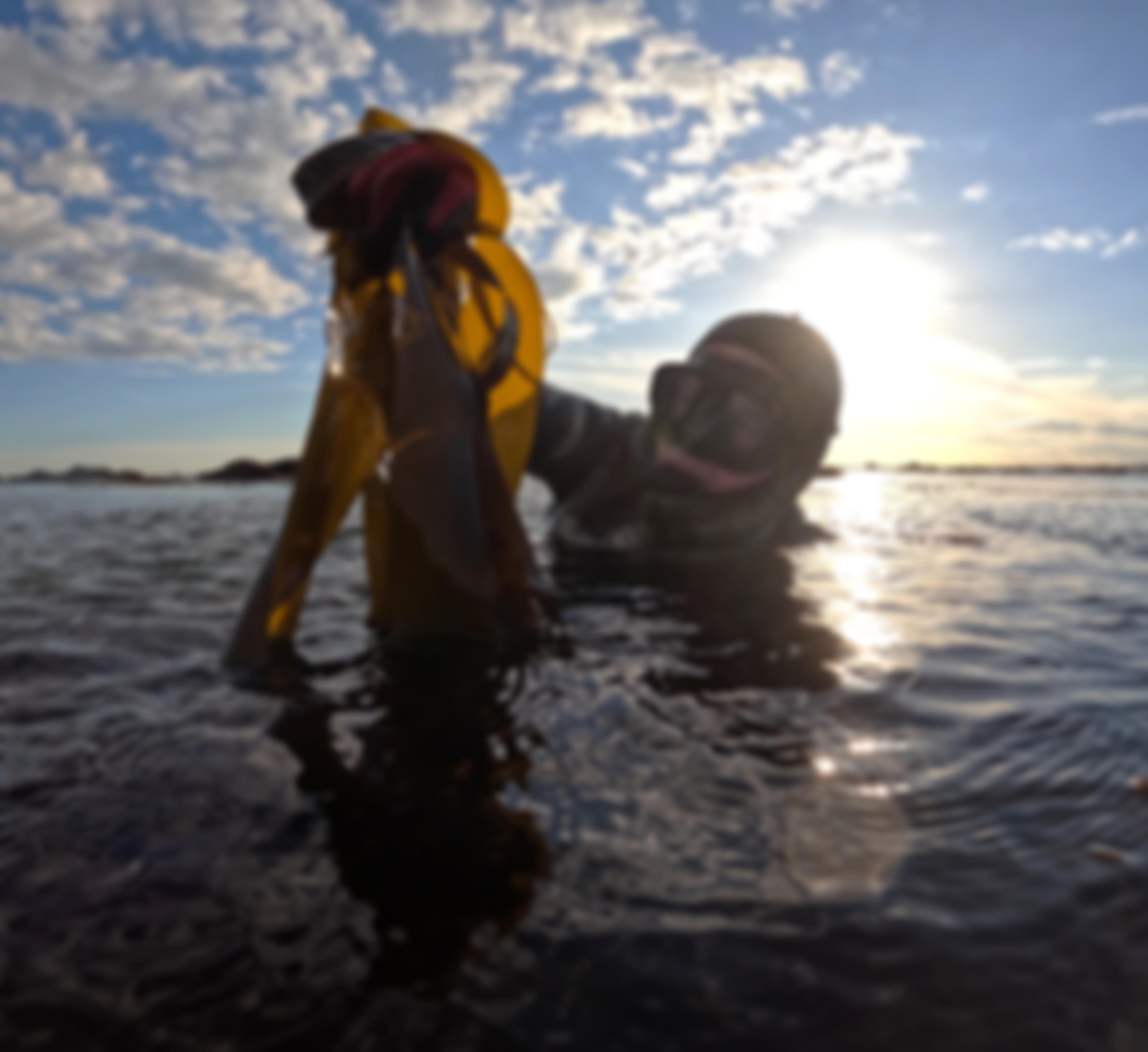 Sussex Underwater | Charici