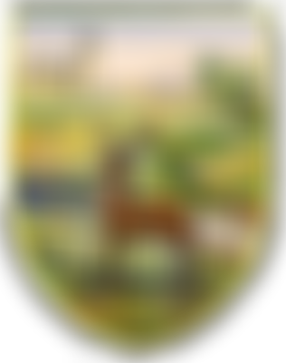 Buckfastleigh Bowling Club | Charici