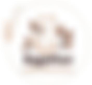 Raggiepaws Ragdoll Rescue & Rehome | Charici