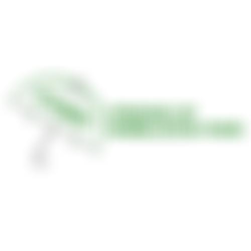 Friends Of Wimbledon Park (Fowp) | Charici