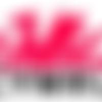 Fast Track Cymru | Charici