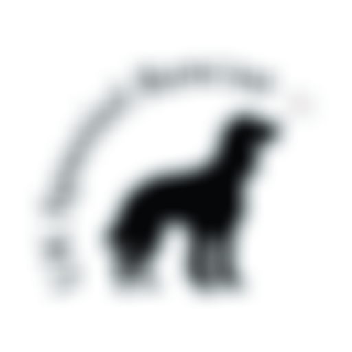 UK Spaniel Rescue | Charici