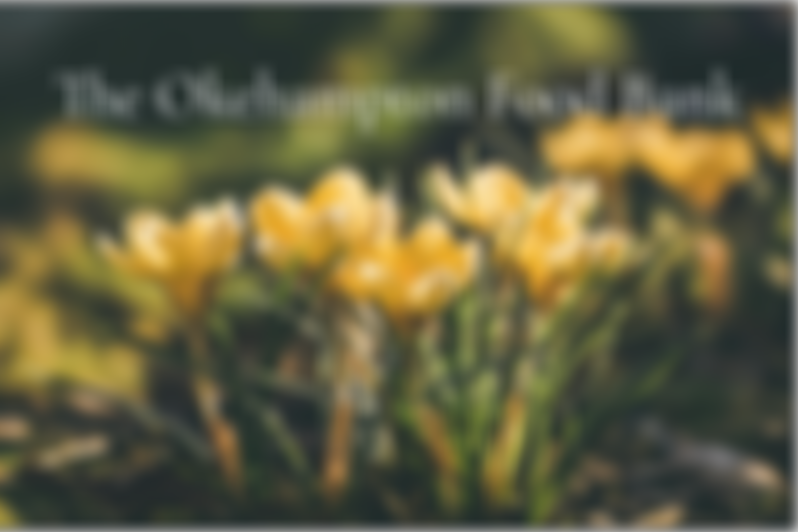 The Okehampton Foodbank | Charici