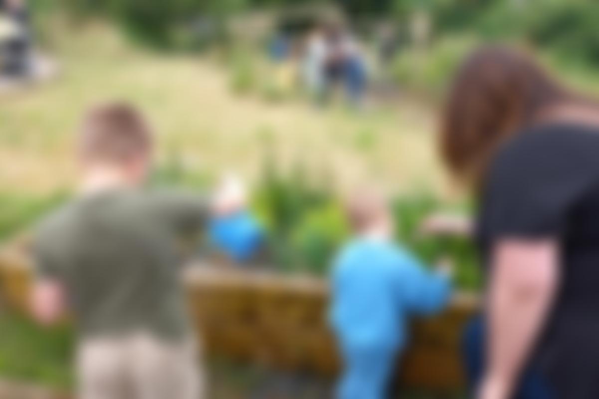 Hartcliffe City Farm | Charici