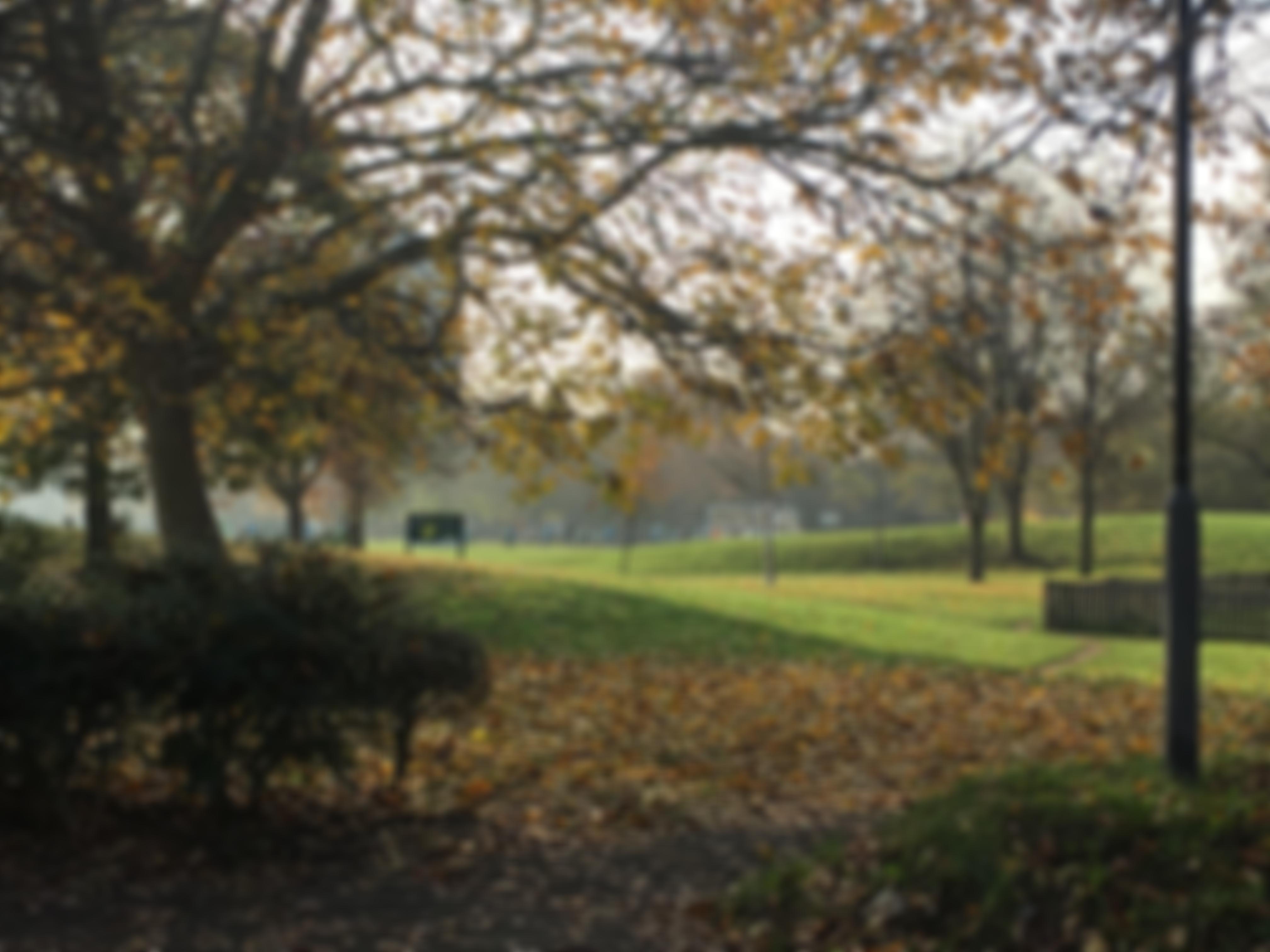 Friends Of Larkhall Park | Charici