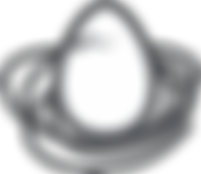 The Eggtooth Project | Charici