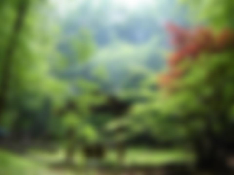 10Th Chingford Scout Group | Charici