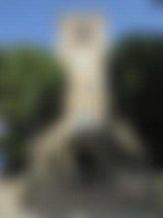 The Parochial Church Council Of The Ecclesiastical Parish Of St Mary The Virgin,Salehurst In The Diocese Of Chichester | Charici