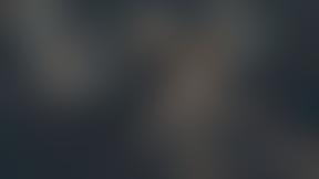 The Graham Vick Foundation | Charici