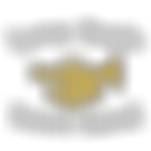 The Lyme Regis Town Band | Charici