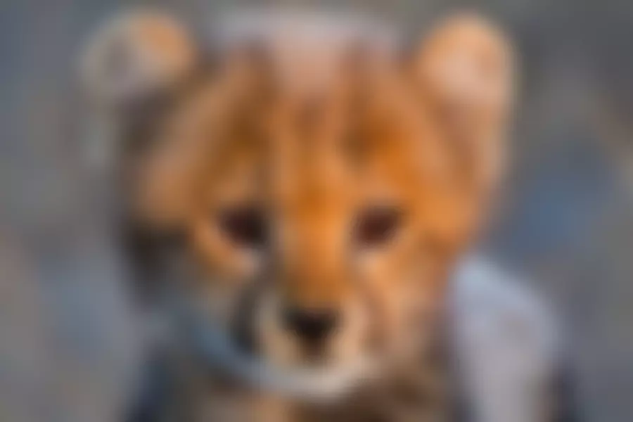 The Zoological Society Of London | Charici