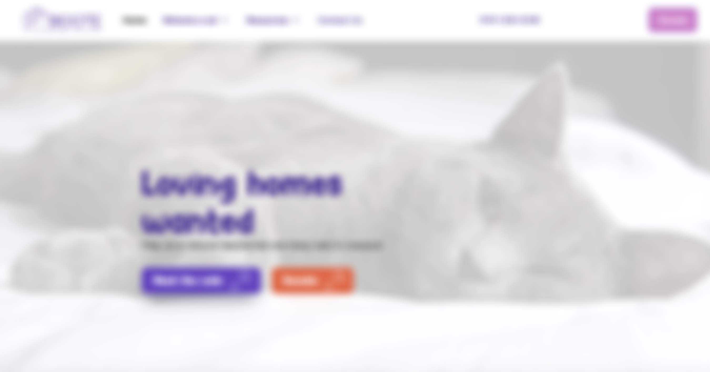 The Boote Home For Cats | Charici