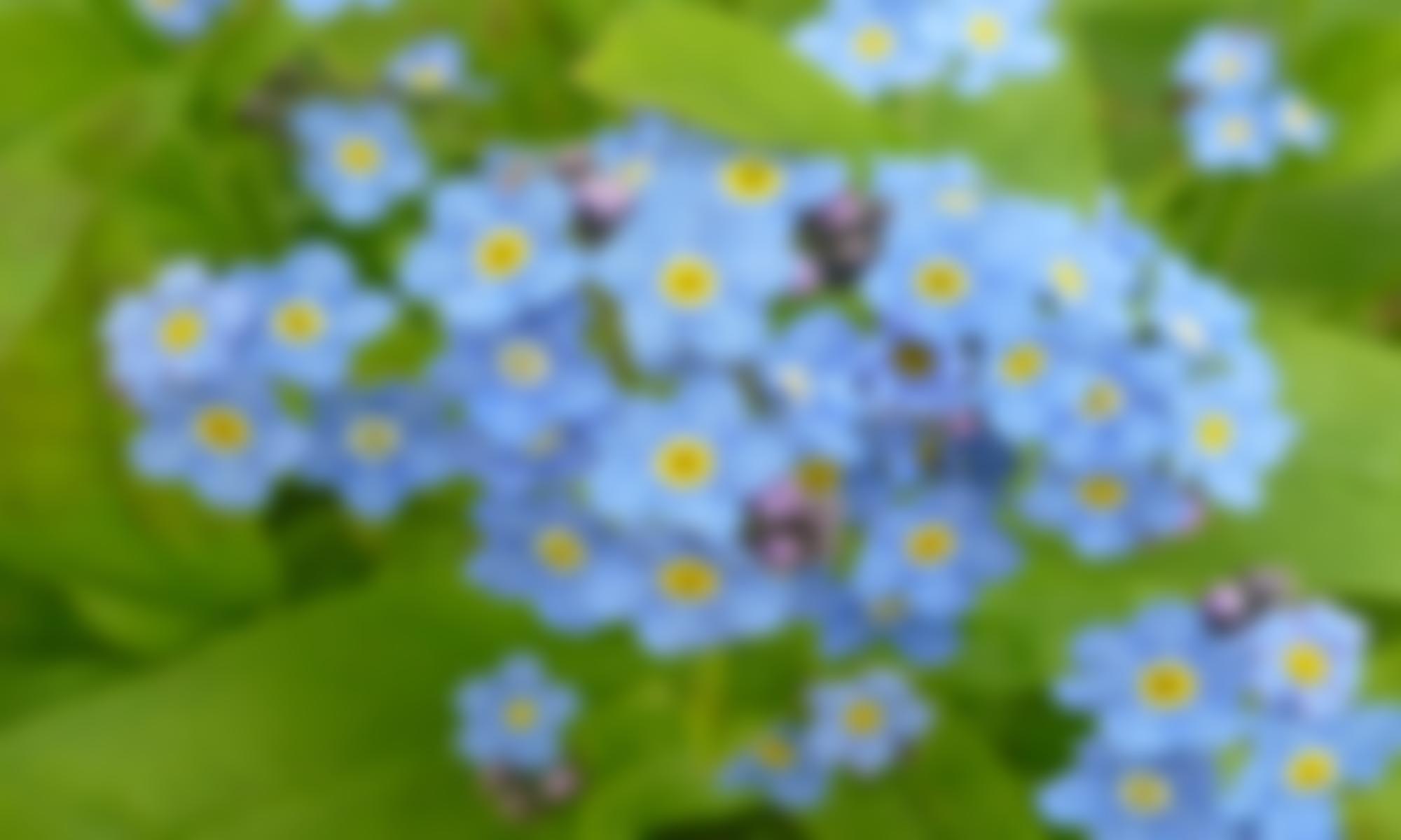 Farlington Village Hall | Charici