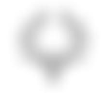 East Herts Archaeological Society | Charici