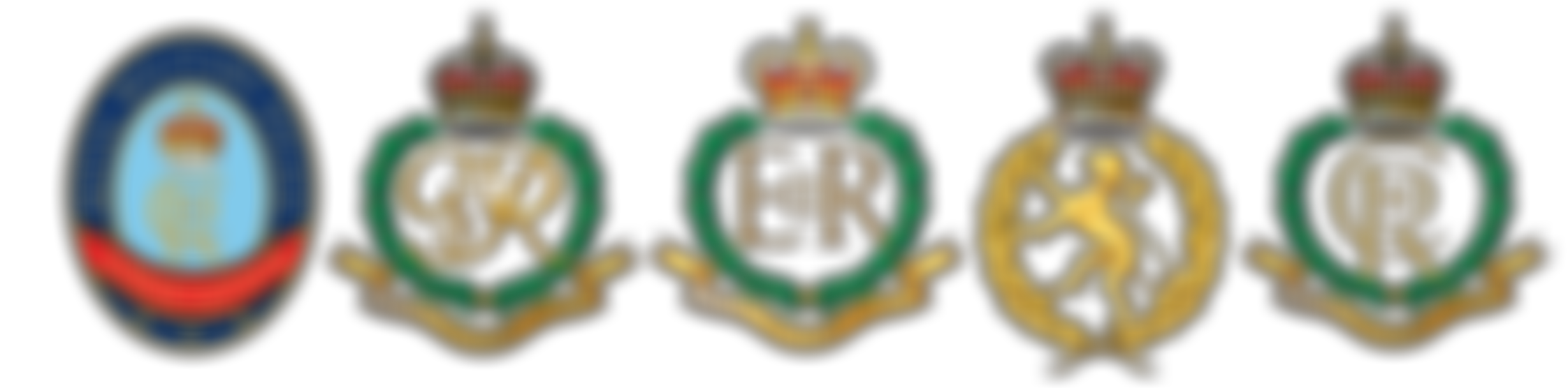 Royal Military Police Association | Charici