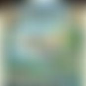 The Pulborough Society | Charici