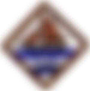 1St Crockerne Scout Group | Charici