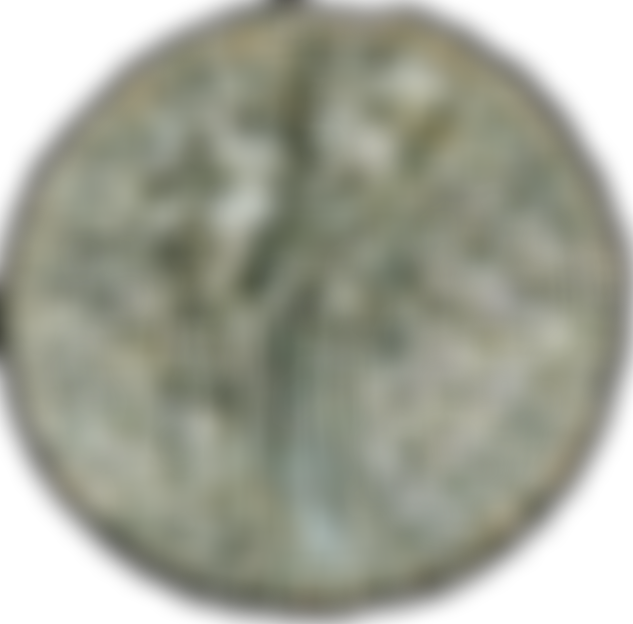 Southampton Archaeology Society | Charici