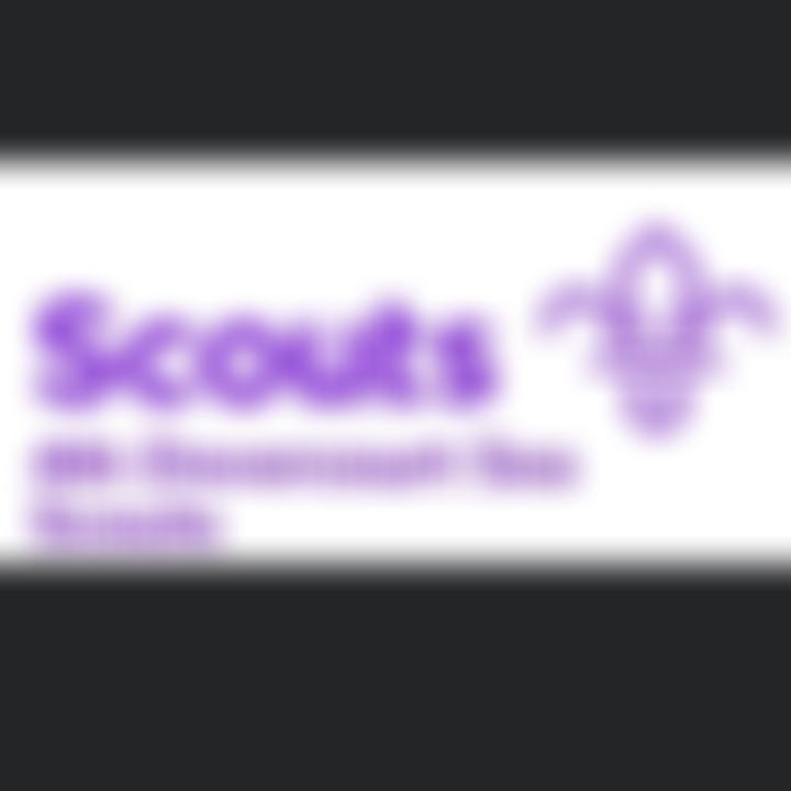 4Th Dovercourt Scout Group | Charici