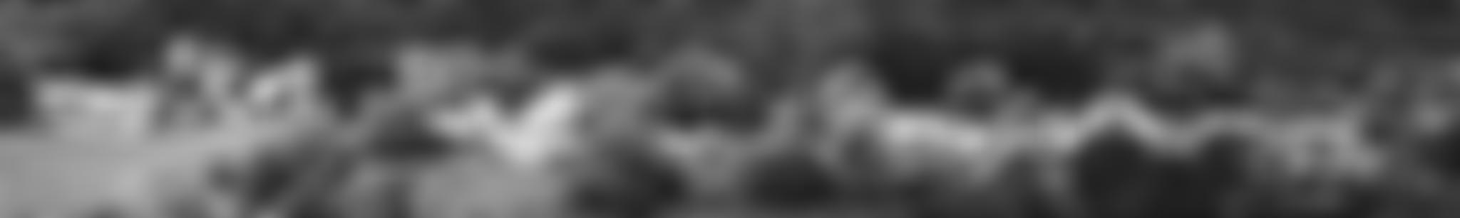 Skaigh Wood Trust | Charici