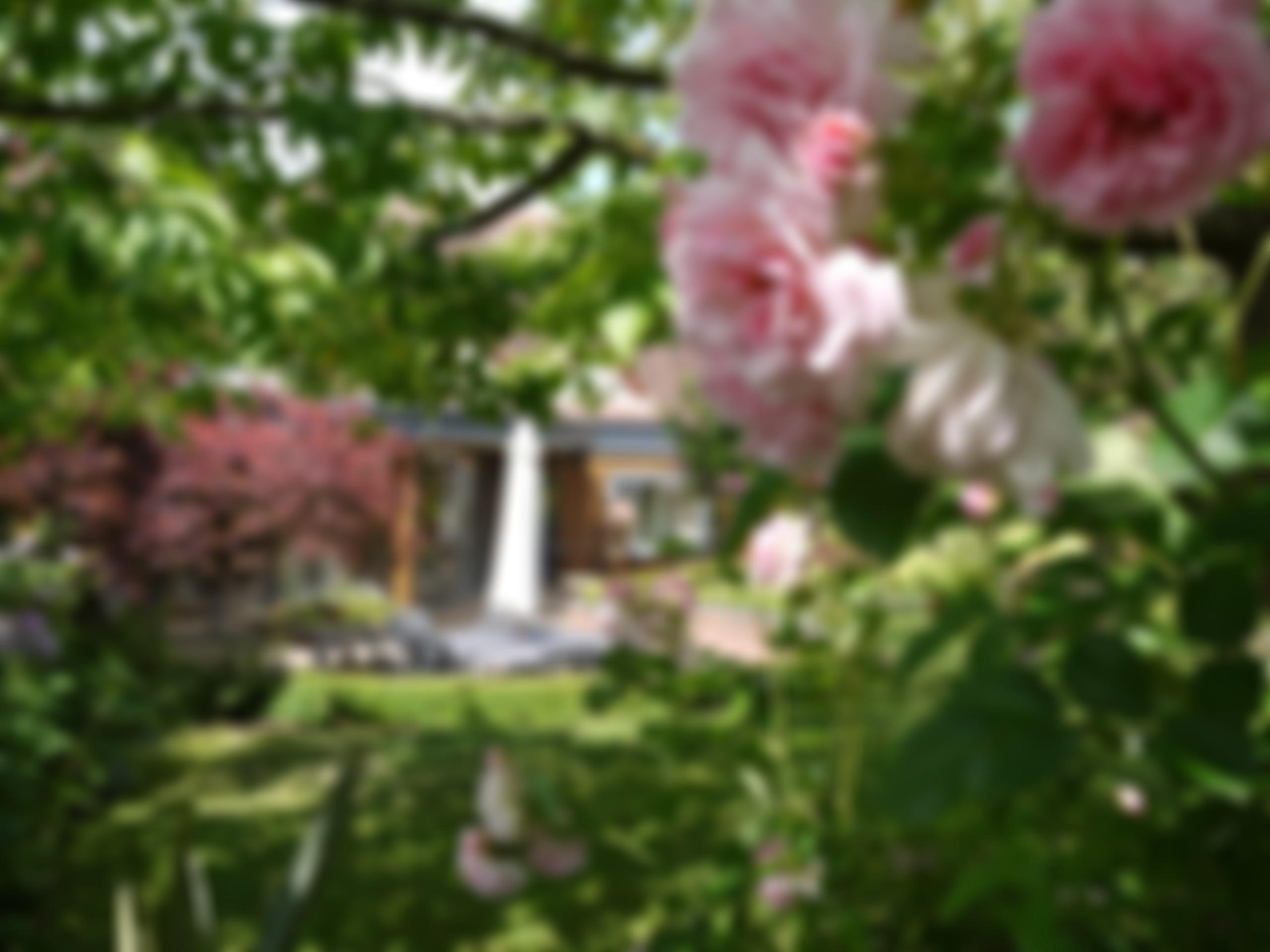 Katharine House Hospice Trust | Charici