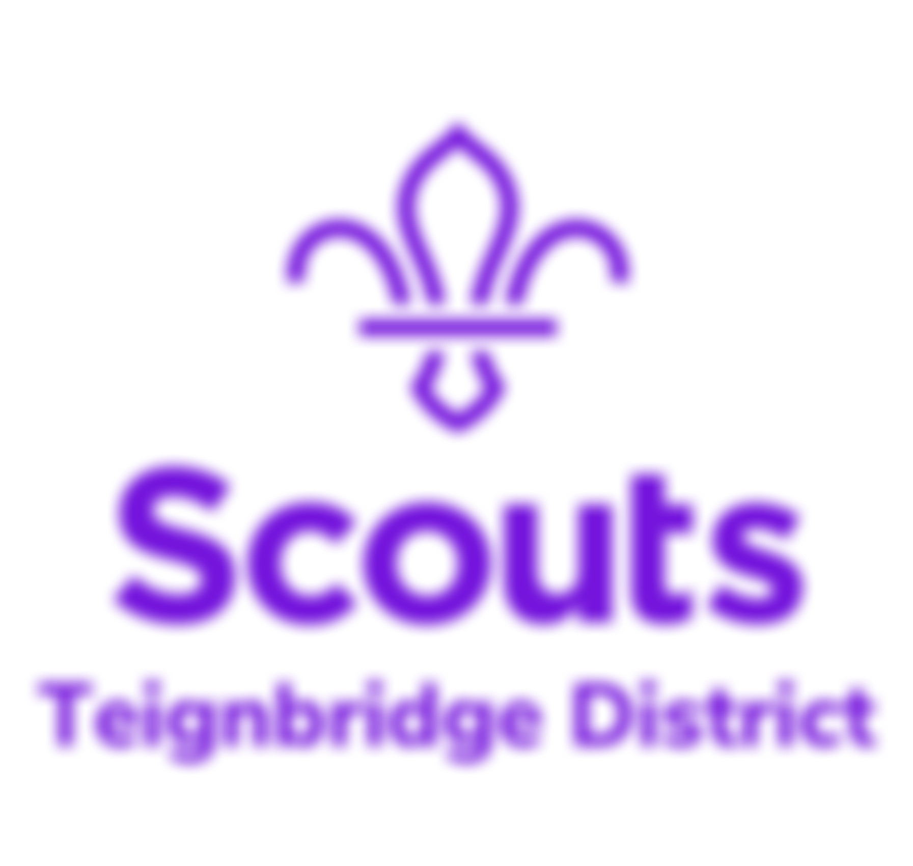 Teignbridge District Scout Council | Charici
