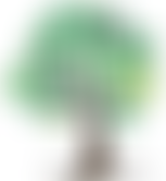 Oxshott Trust Fund | Charici