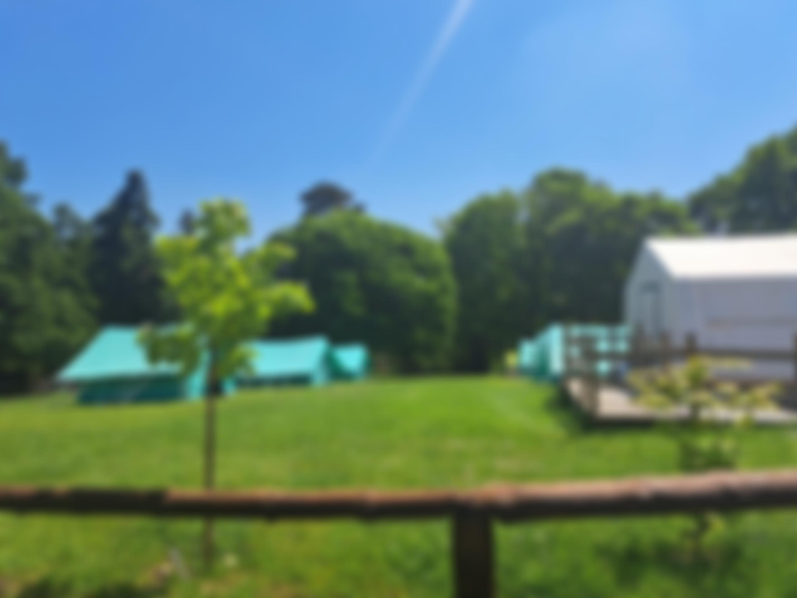 Woodlarks Camp Site Trust | Charici