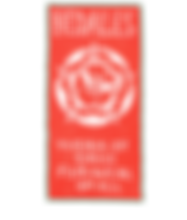 Bedales School | Charici