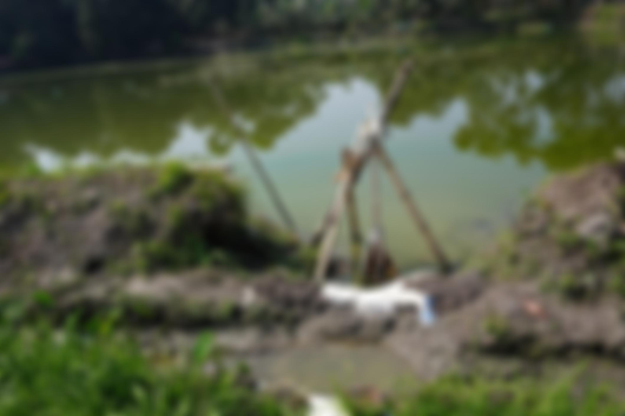 The Foundation For Gaia | Charici